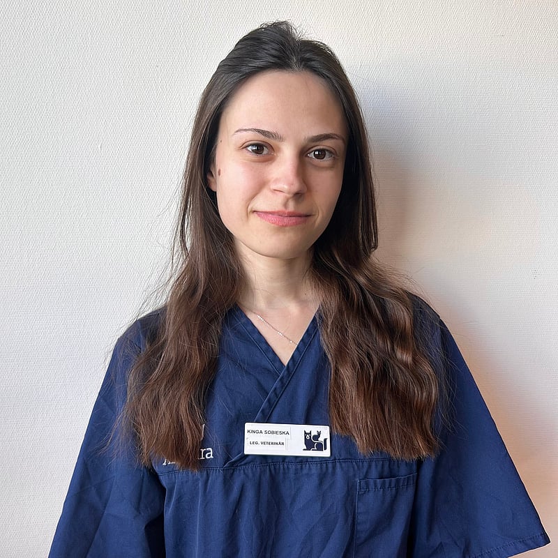 Foto av Kinga, Legitimerad Veterinär