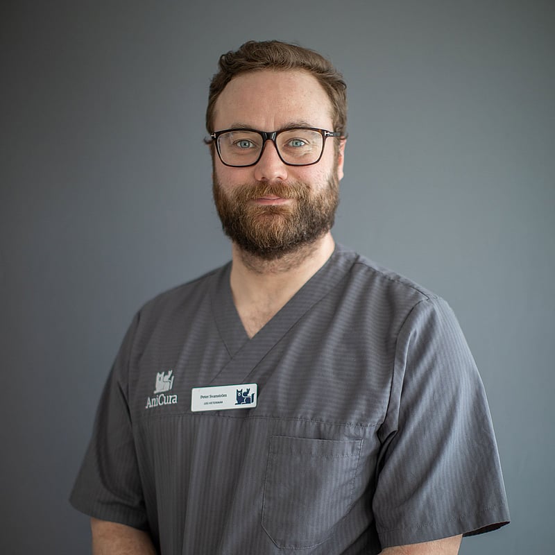 Foto av Peter Svanström, Leg.veterinär Med Specialistkompetens