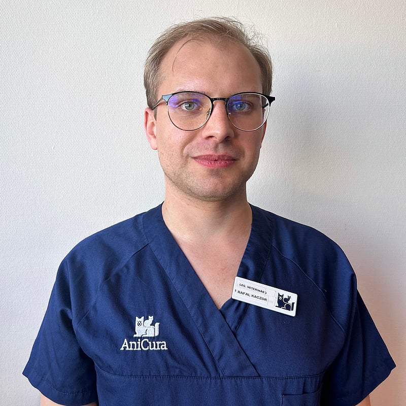 Foto av Rafal, Legitimerad Veterinär