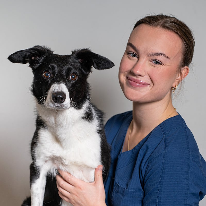 Foto av Ellinor Beck, Receptionist/djurvårdare