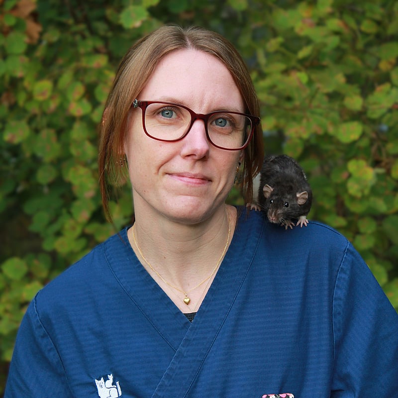 Foto av Sara, Legitimerad Djursjukskötare