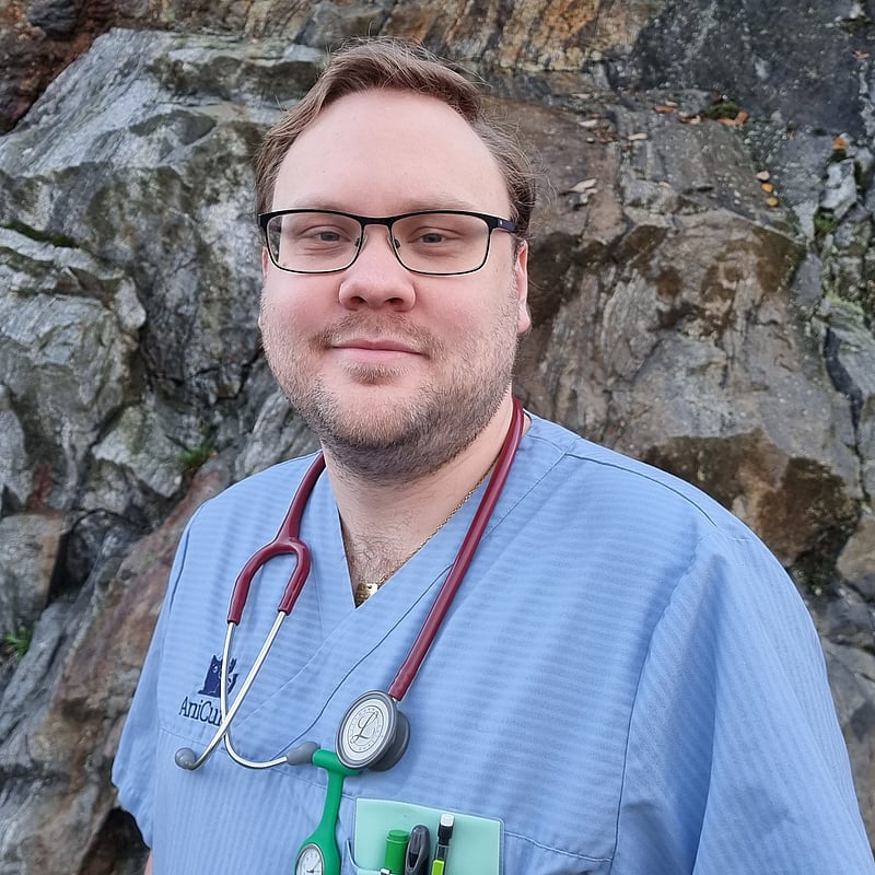 Foto av Johan, Leg. Veterinär