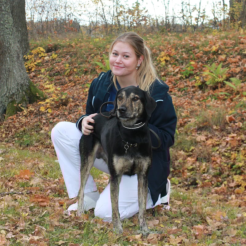 Foto av Ida K Johansson, Leg. Veterinär