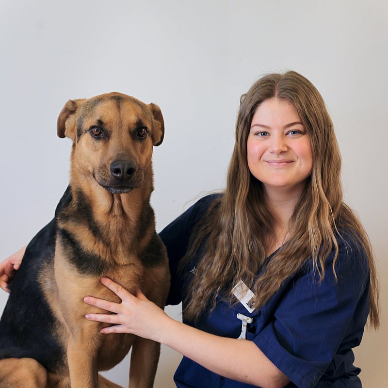 Foto av Karin, Legitimerad Djursjukskötare