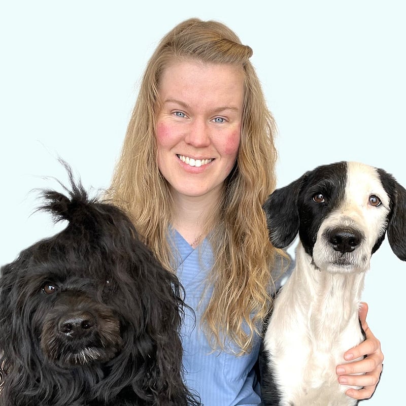Foto av Frida, Leg. Veterinär