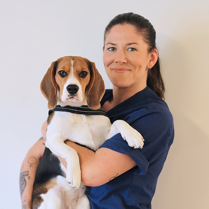 Foto av Petra, Legitimerad Djursjukskötare