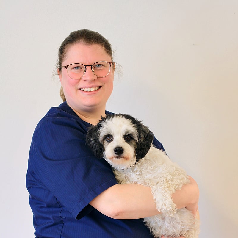 Foto av Amelie, Legitimerad Veterinär