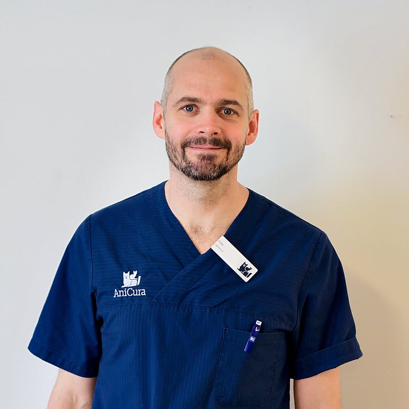 Foto av Frans, Legitimerad Veterinär
