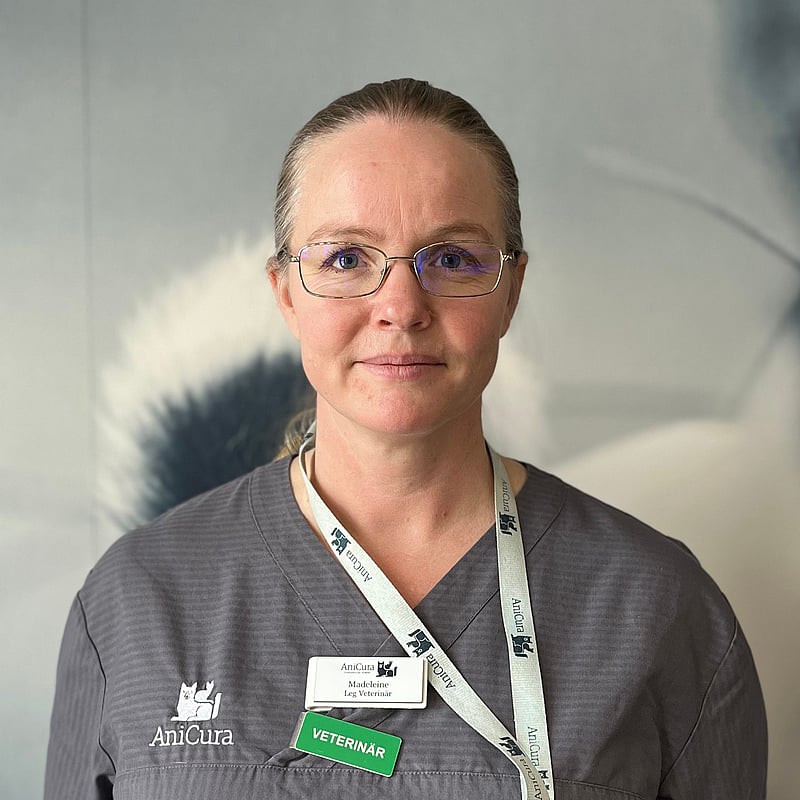 Foto av Madeleine S, Leg. Veterinär