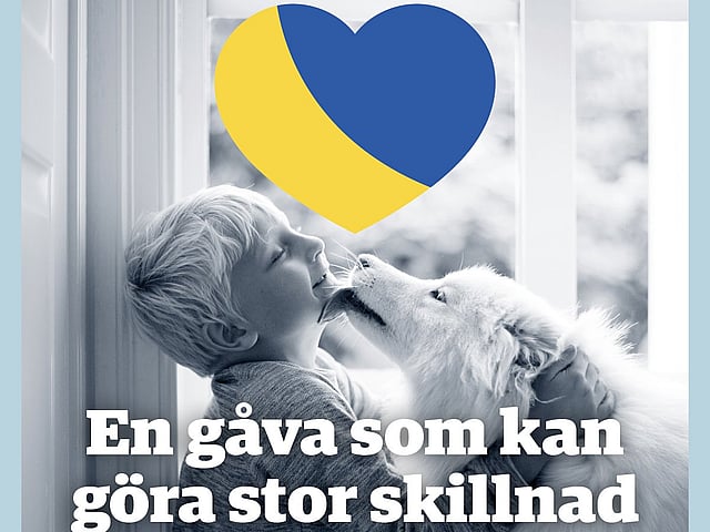 Ett barn som kysser en hund.