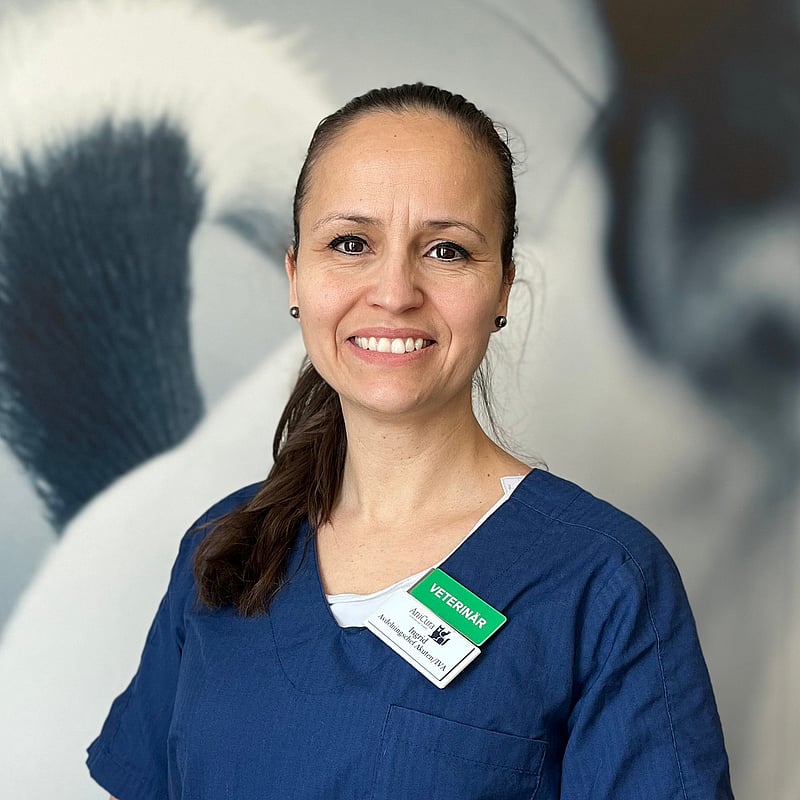 Foto av Ingrid S.A, Leg. Veterinär
