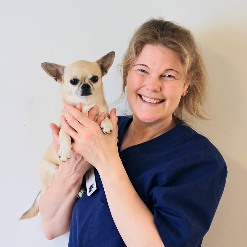 Foto av Mari, Legitimerad Djursjukskötare