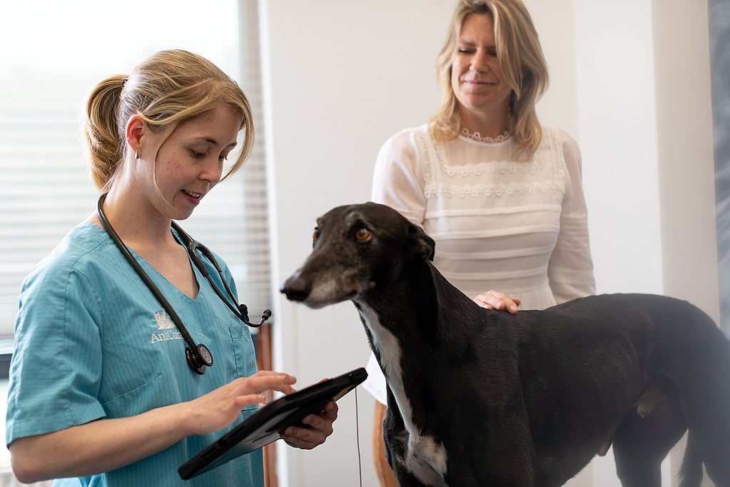 En veterinär skriver på en anteckningsjournal. En svart, smal hund står framför veterinären och bakom hunden står dess ägare, en kvinna.