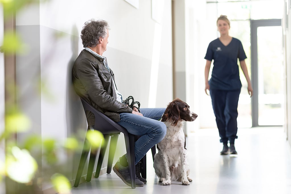 Man sitter på stolarna i väntrummet av ett djursjukhus och framför honom sitter en stor hund på golvet. En veterinär är på väg till dem.