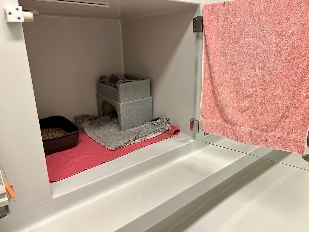 Katten sovplats där det finns en liten bur, sandlåda och filtar.