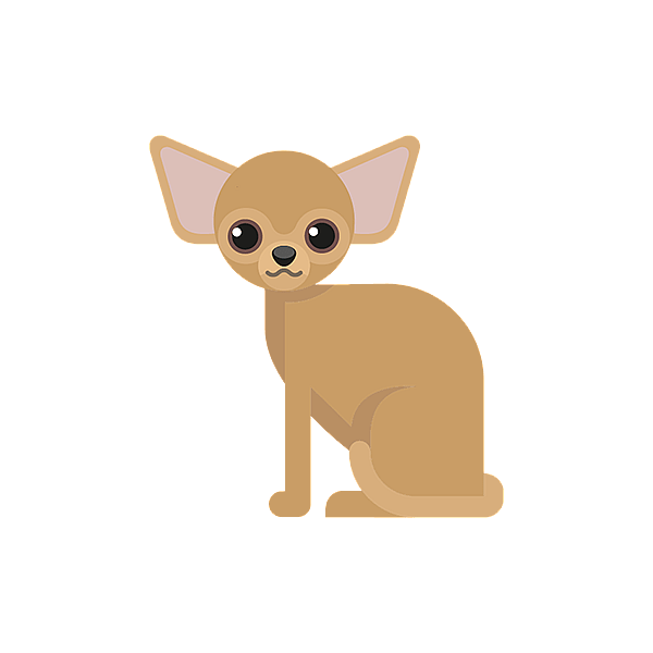 Teckning på en chihuahua.
