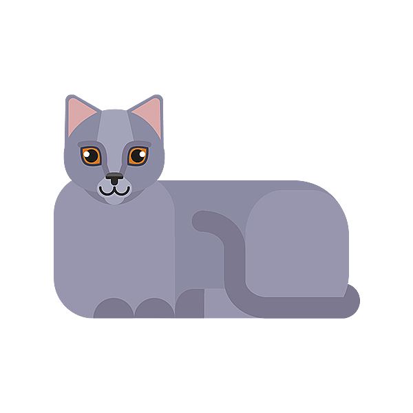 Teckning på en chartreux.