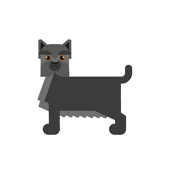Teckning på en cairnterrier.