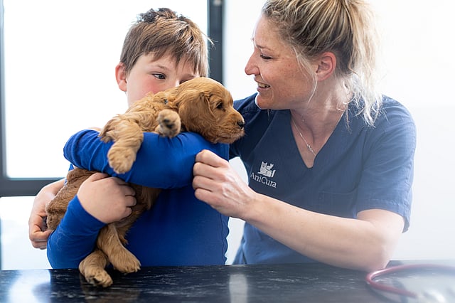 En ung kille håller om en liten valp och en veterinär står bredvid dem.