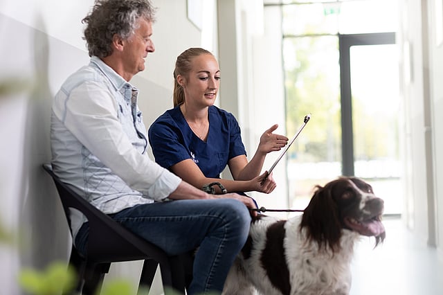 En man och en kvinnlig veterinär sitter och går igenom en anteckningspapper. Framför dem sitter en hund.