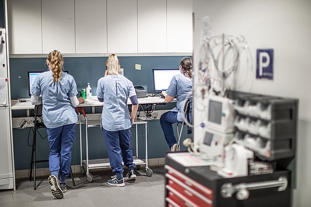 Tre veterinärer står med ryggen mot kameran och jobbar.