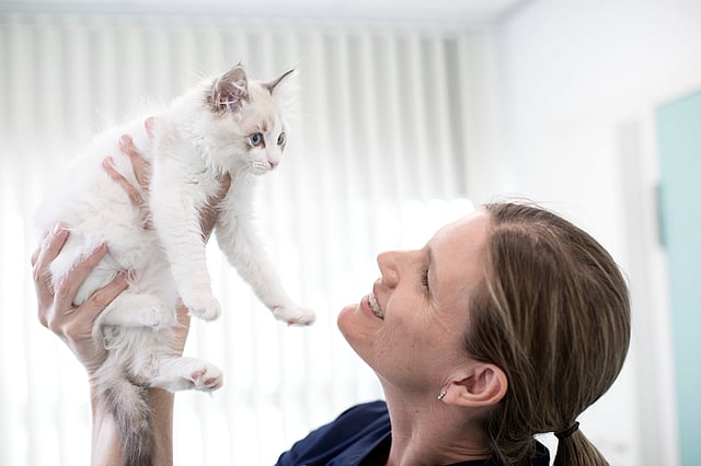 Kvinna håller upp en katt.