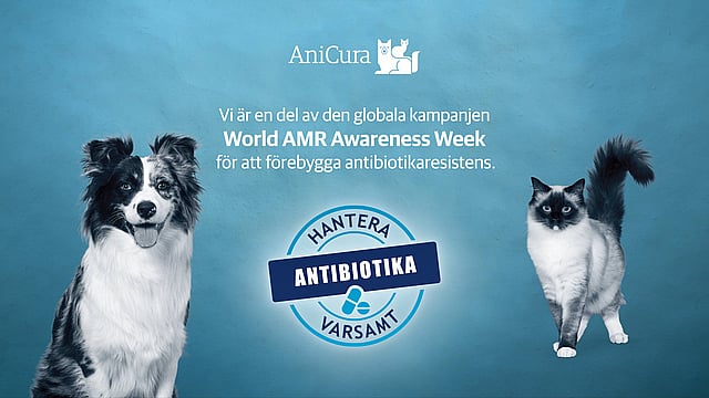 AniCura är en del av den globala kampanjen 