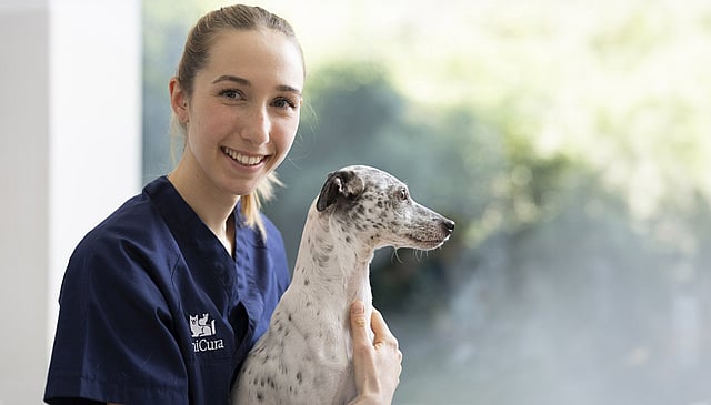 En kvinnlig veterinär iklädd blåa vårdkläder med AniCuras logga på håller och kramar om en vit hund med svarta prickar. Kvinnan tittar mot kameran och ler.