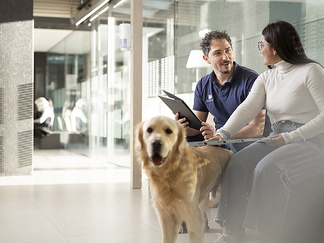 Två personer, en kvinna och en man som sitter på en bänk i korridoren på ett djursjukhus. En hund står nedanför och blir klappad på.