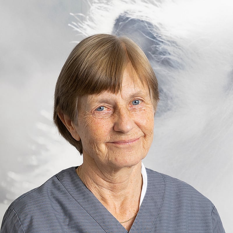 Foto av Anna, Diplomat