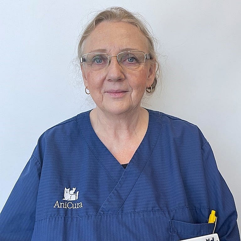 Foto av Ylwa, Leg. Veterinär