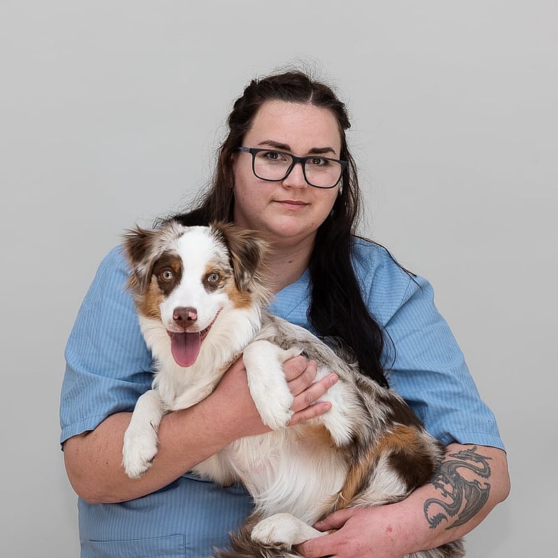 Foto av Frida Henriksson, Leg. Veterinär