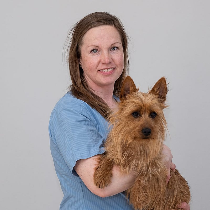 Foto av Lena Norström, Leg. Veterinär med specialistkompetens
