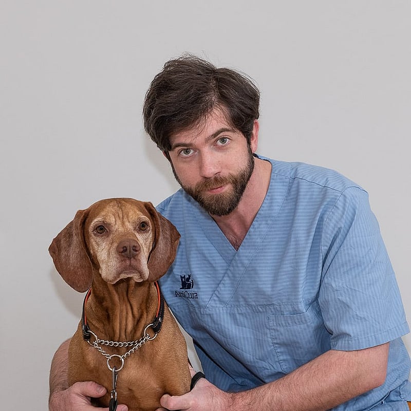 Foto av Marcus Blomqvist, Leg. Veterinär