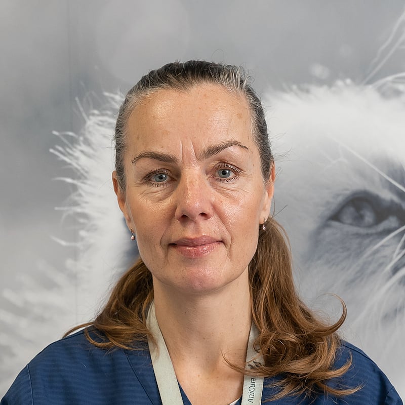 Foto av Angelica H, Leg. Djursjukskötare