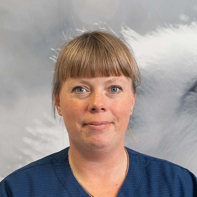 Foto av Cecilia H, Administration och schema