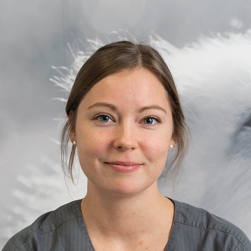 Foto av Jenny L, Leg. Veterinär