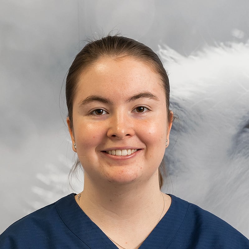 Foto av Johanna A, Djurvårdare nivå II