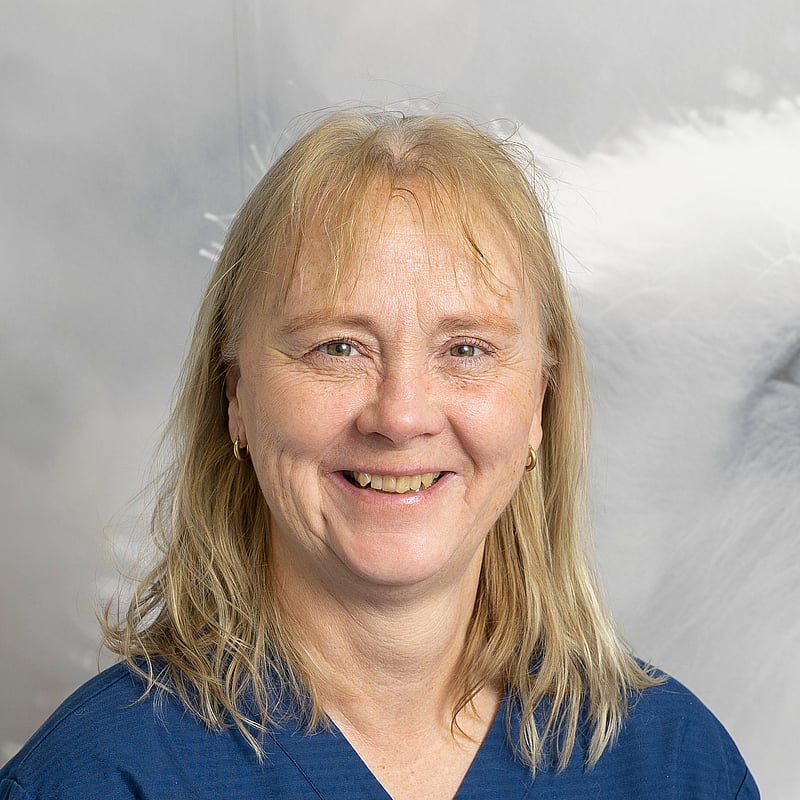 Foto av Susanna L, Leg. Djursjukskötare
