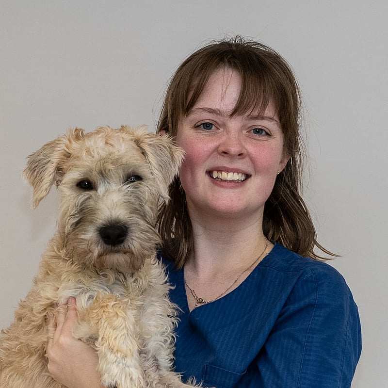 Foto av Johanna, Leg. Djursjukskötare