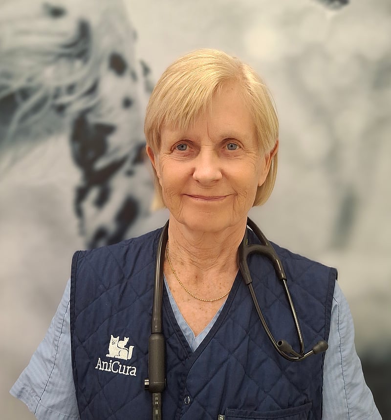 Foto av Anna T, Legitimerad Veterinär, Medicinkandidat, Svensk Specialist I Kardiologi Och Invärtesmedicin, Europeisk Specialist I Kardiologi Veterinärmedicinsk Doktor, Docent