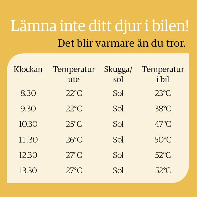 Tabell som visar hur temperaturen i bilen förändras i och med klockslag och temperaturen ute. Lämna inte ditt djur i bilen, det blir varmare än du tror.