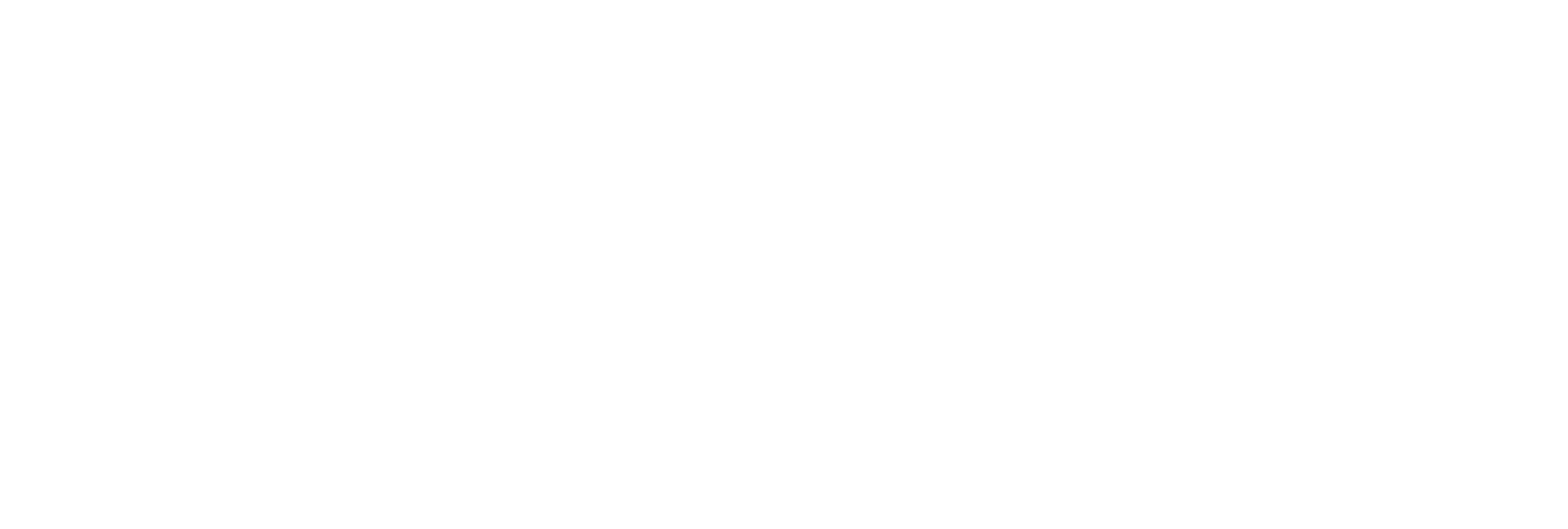 AniCura Norsholms Djursjukhus logo